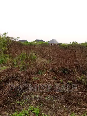 Estate Land for Sale at DSC Extension.