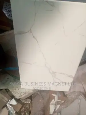 Photo - 25x40 High Quality Champion Wall Tiles