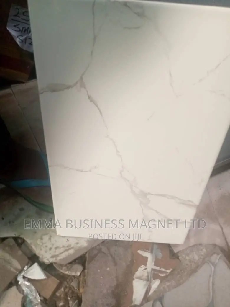 25x40 High Quality Champion Wall Tiles