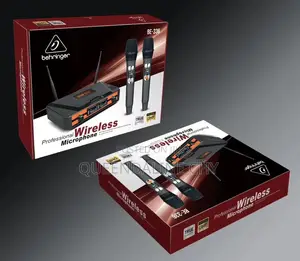 BE 336 Professional Wireless Microphone