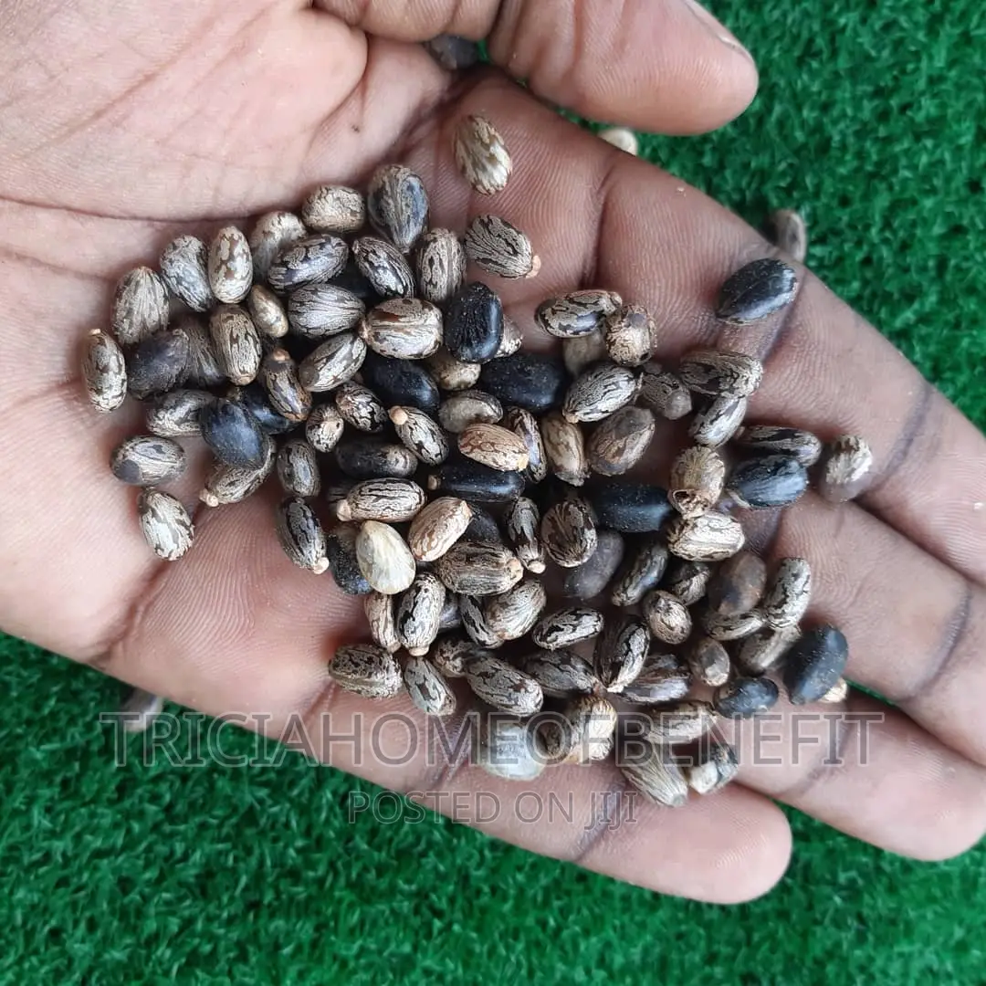 Contraceptive Seeds