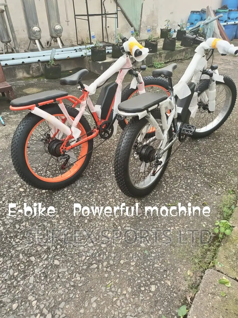 Electric Fat Tyre Bicycle