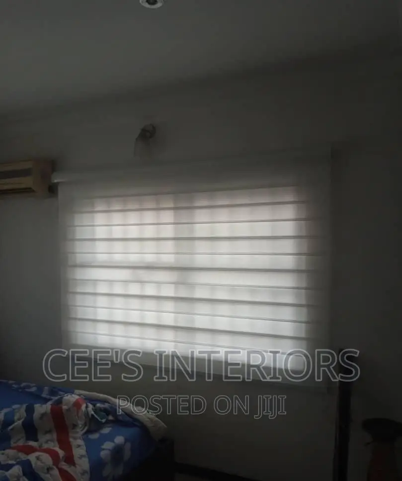 Day and Night Window Blinds