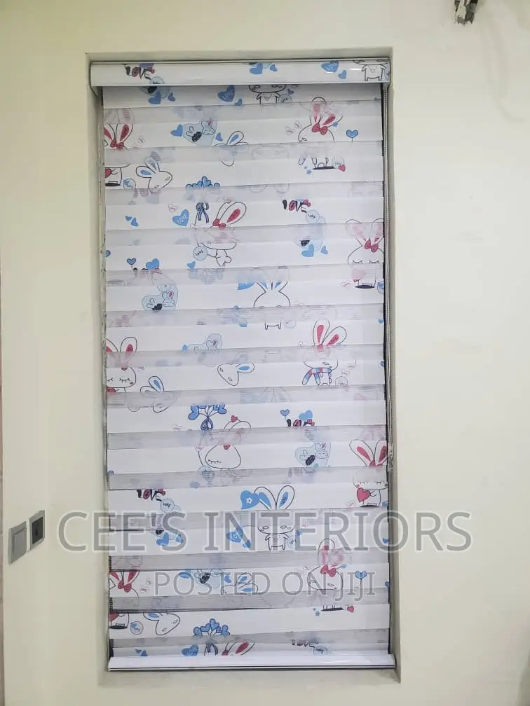 Day and Night Window Blinds