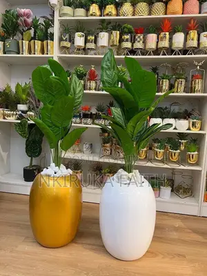 Big Fiber Pot and Plant