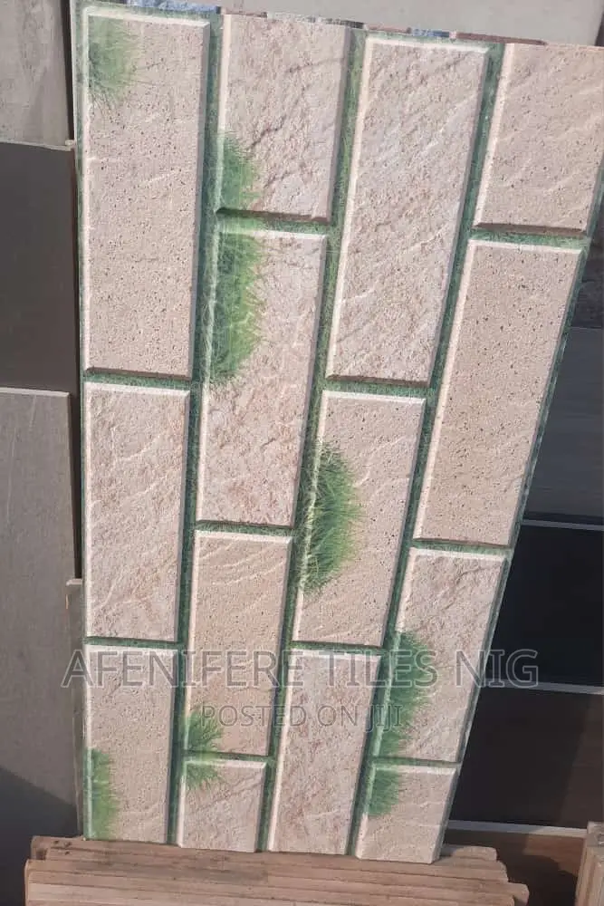 India 30x60 External and Internal Crack Wall Tiles