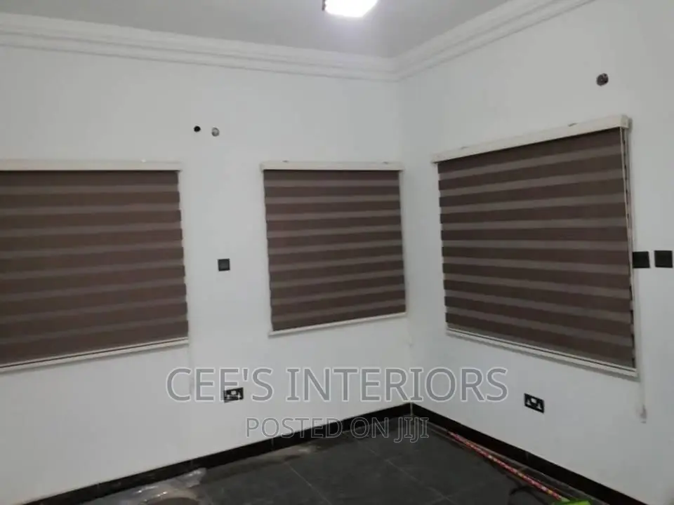 Day and Night Window Blinds.