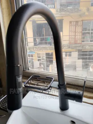Black Kitchen Sink Mixer