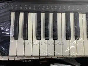 Casio Professional Keyboard Uk- Used