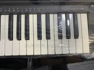Casio Professional Keyboard Uk- Used