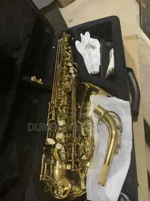 Alto Saxophone Golden