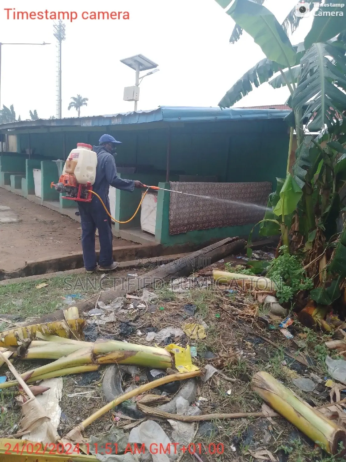 Reptiles Fumigation Prof