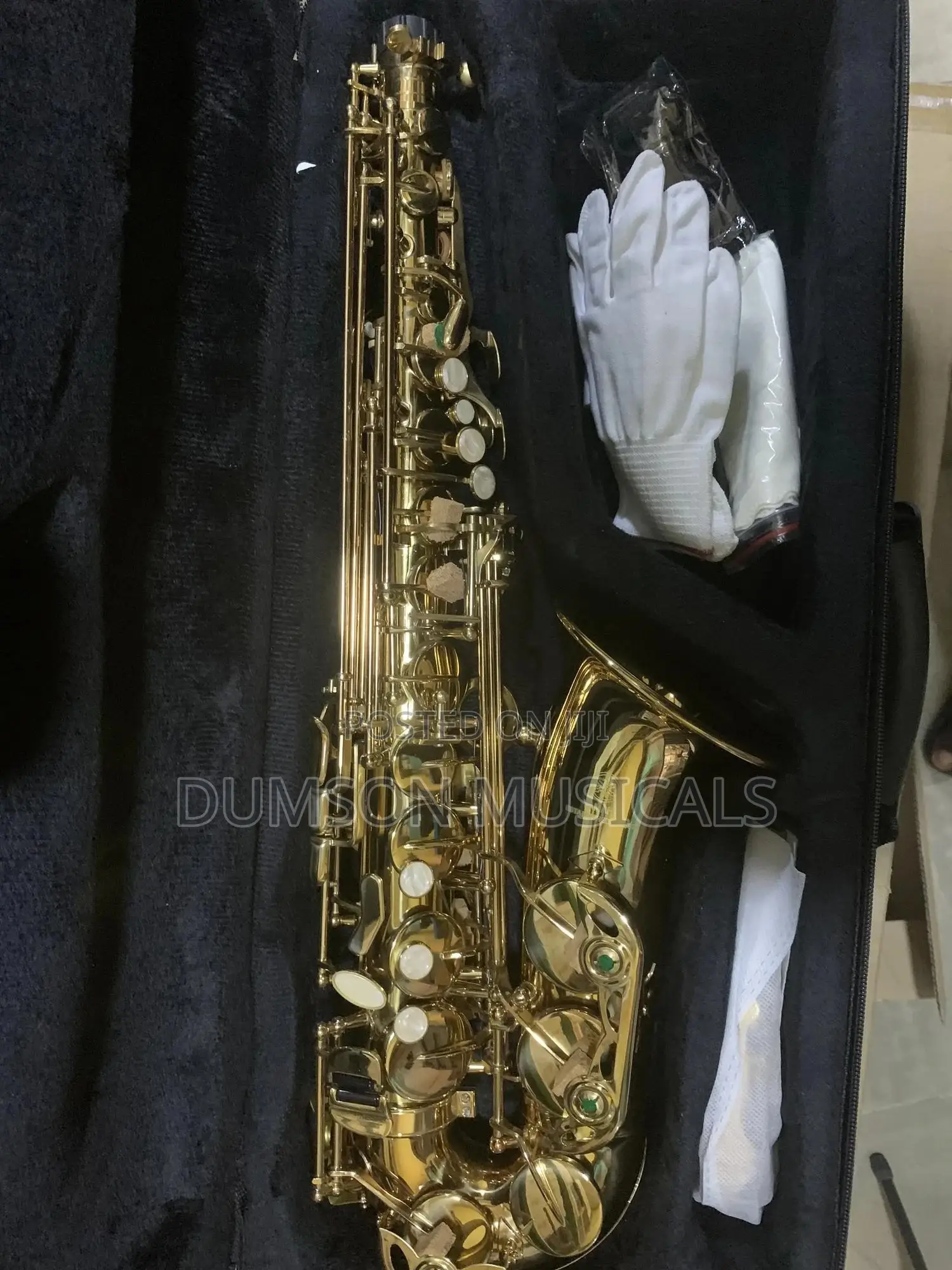 Alto Saxophone Golden