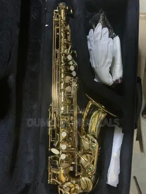 Alto Saxophone Golden