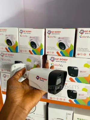 Gz Sony Colorvu Outdoor Camera