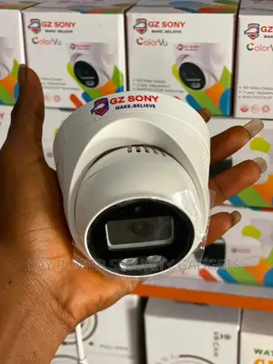 Gz Sony Colorvu Indoor Camera