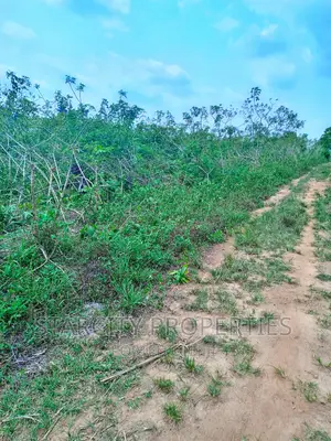Cheap Farmland for Sale in Imota Ikorodu Lagos State