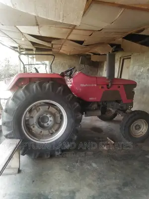 Oil Palm Farm for Sale in a Very Beautiful Location