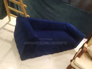 Couch and Bed Cleaning Services