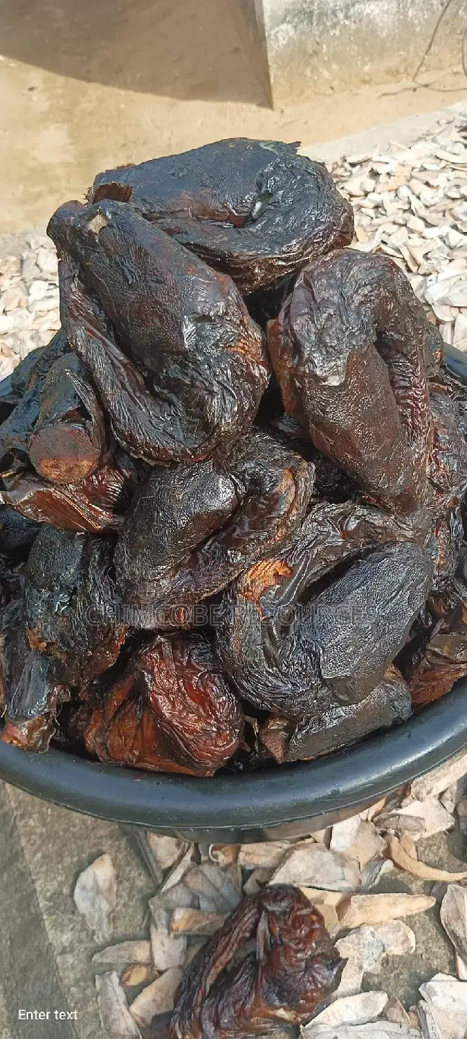River Catfish