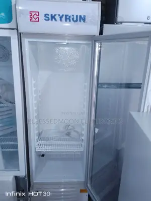 Skyrun Inverter Standing Chiller