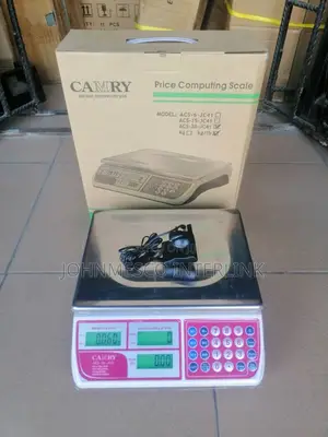30kg Camry Scale