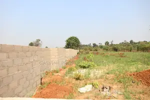Half Plot at Villa Gardens