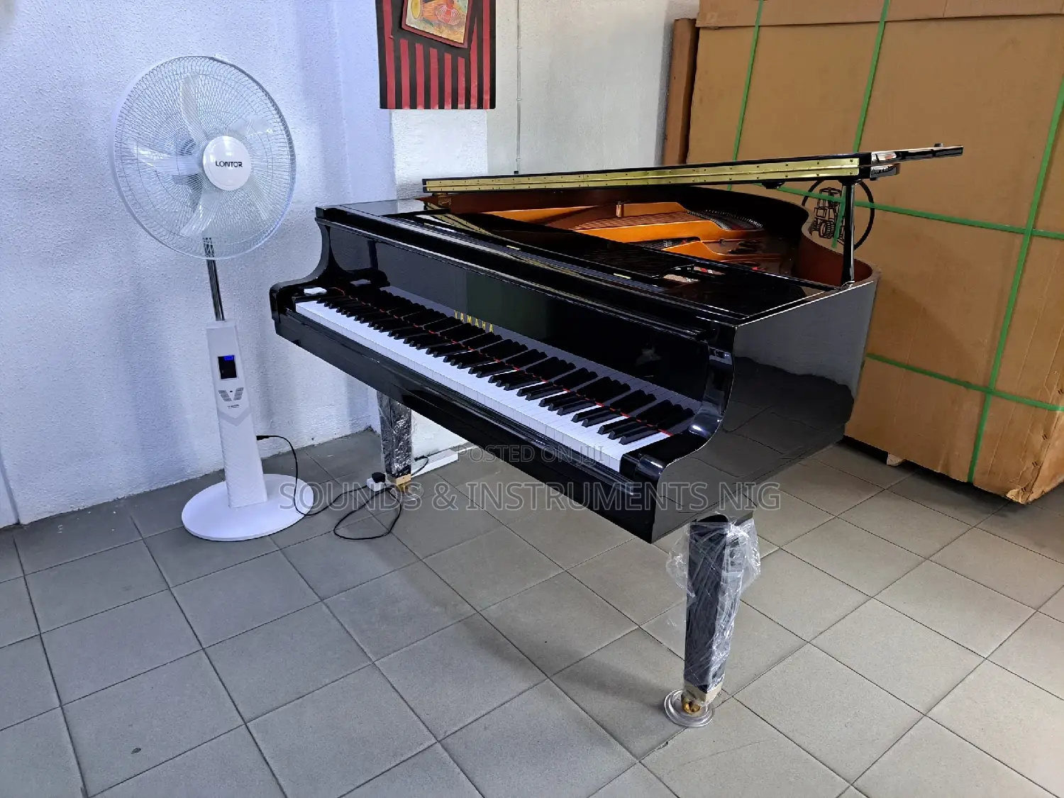 Grand Pianos and Upright Pianos