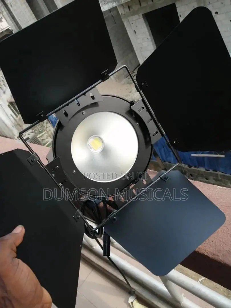 200 Watts Cob