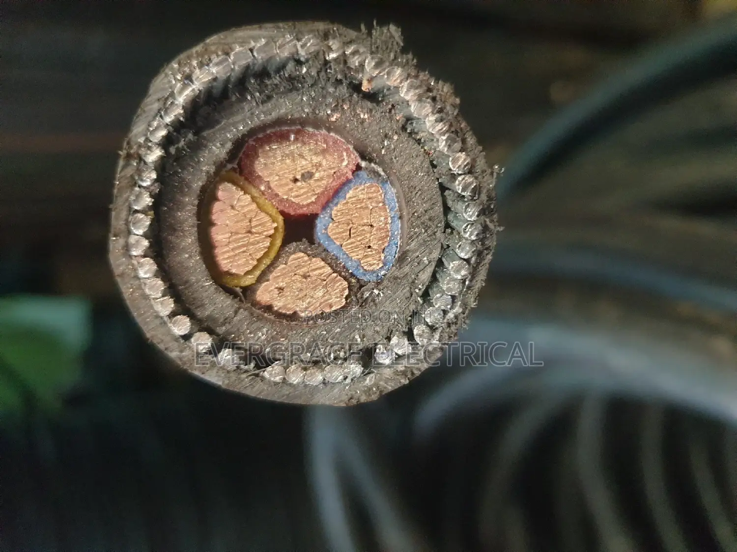 Armoured Cable 4core 50mm