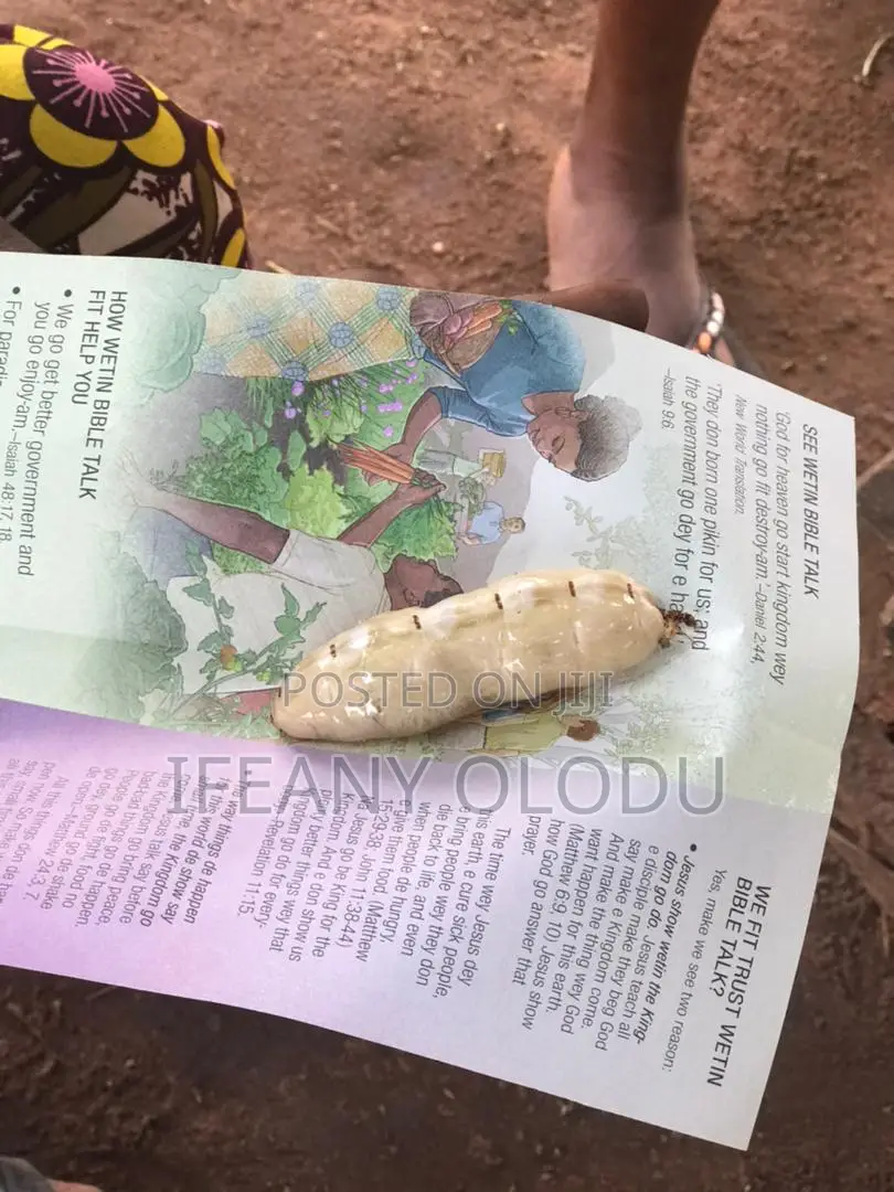 Pest Control And Fumigation