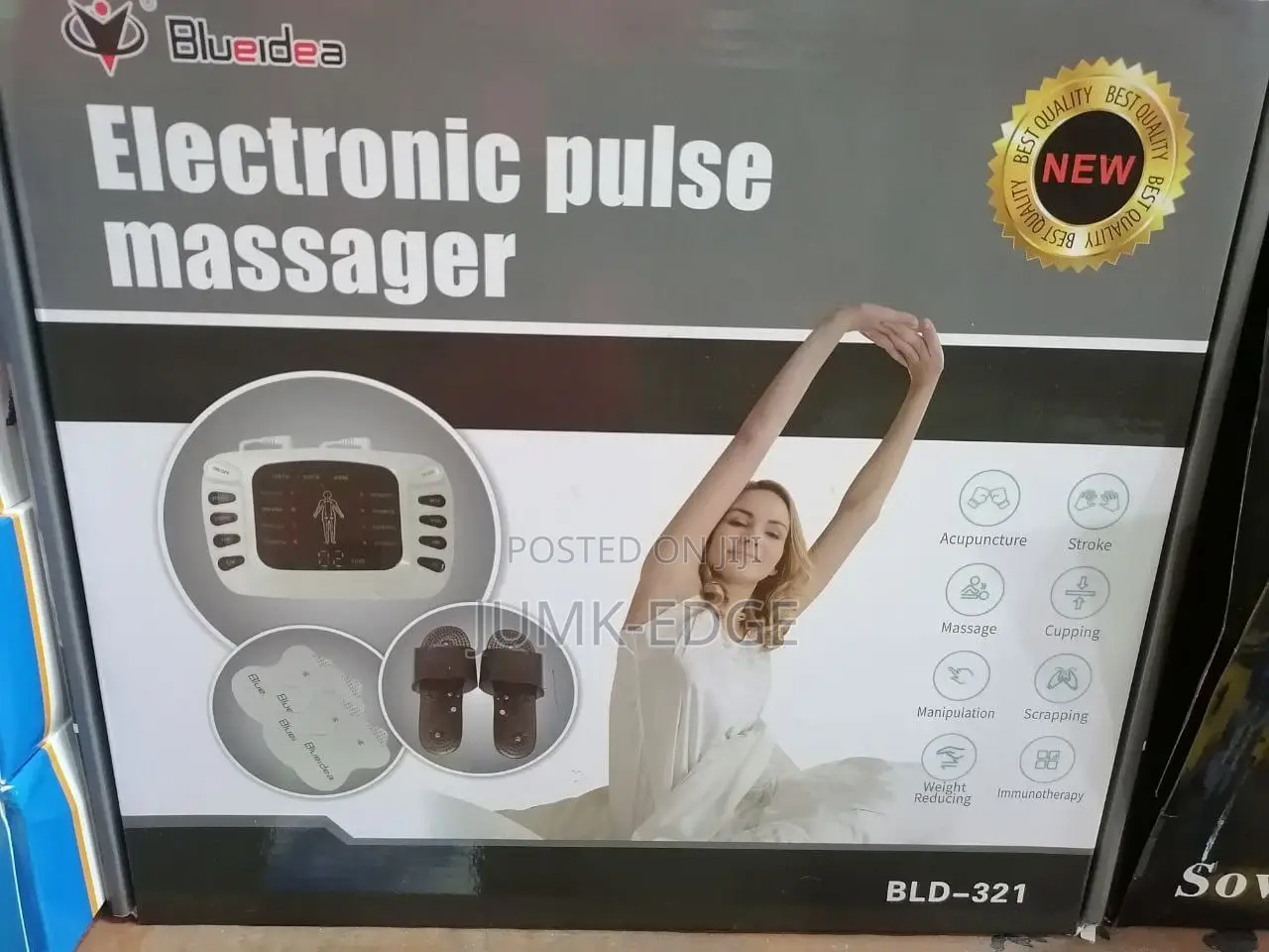Electronic Pulse Massager