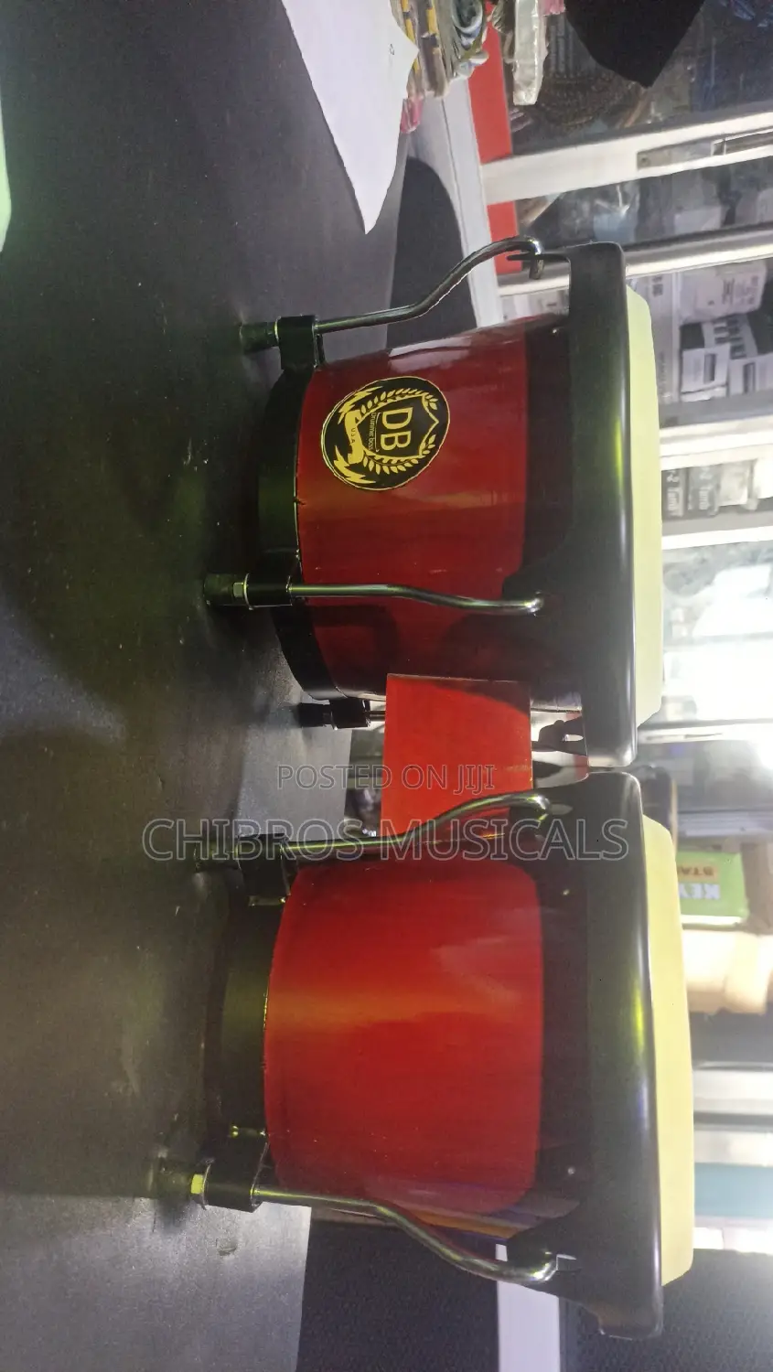 Db Professional Bongo for Churches Clubs and Studios