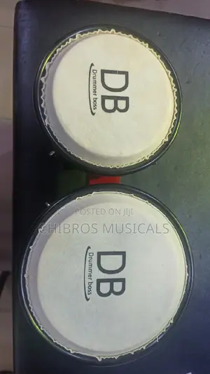 Db Professional Bongo for Churches Clubs and Studios