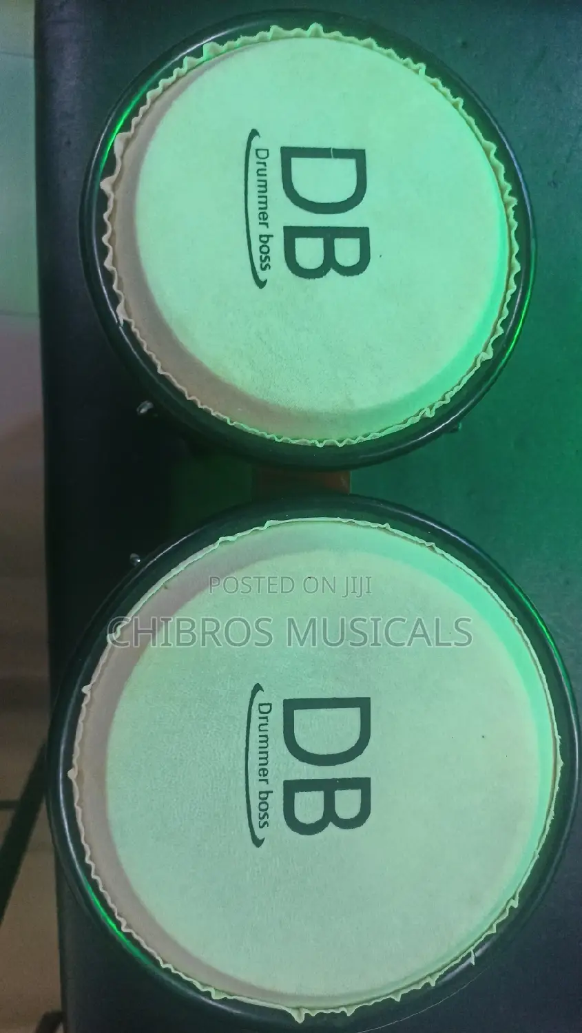 Db Professional Bongo for Churches Clubs and Studios