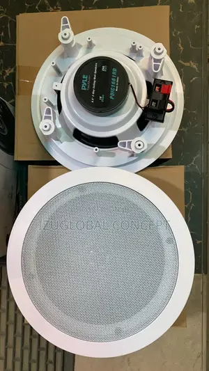 Original Pyle Double Ceiling Speaker