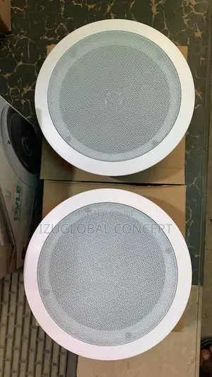 Original Pyle Double Ceiling Speaker