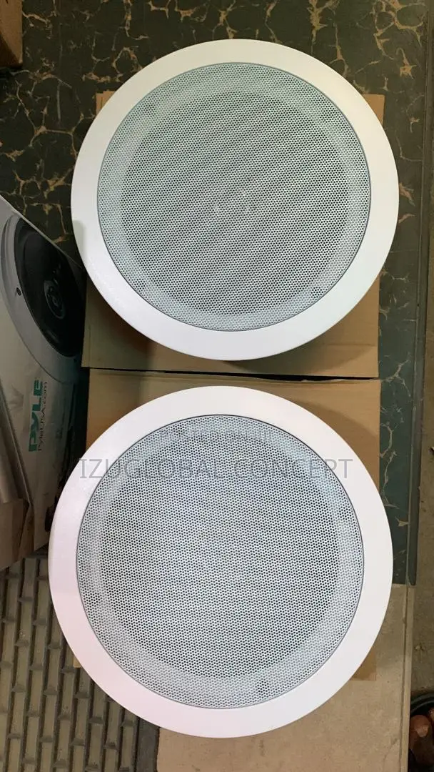 Original Pyle Double Ceiling Speaker