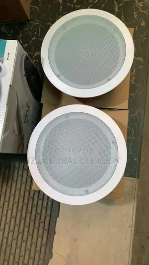 Original Pyle Double Ceiling Speaker