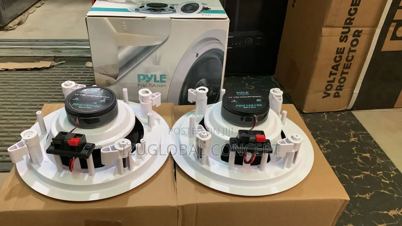 Original Pyle Double Ceiling Speaker