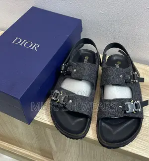 Luxury Dior Birkenstock