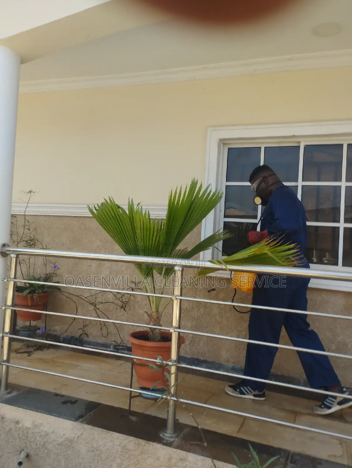 Pest Control