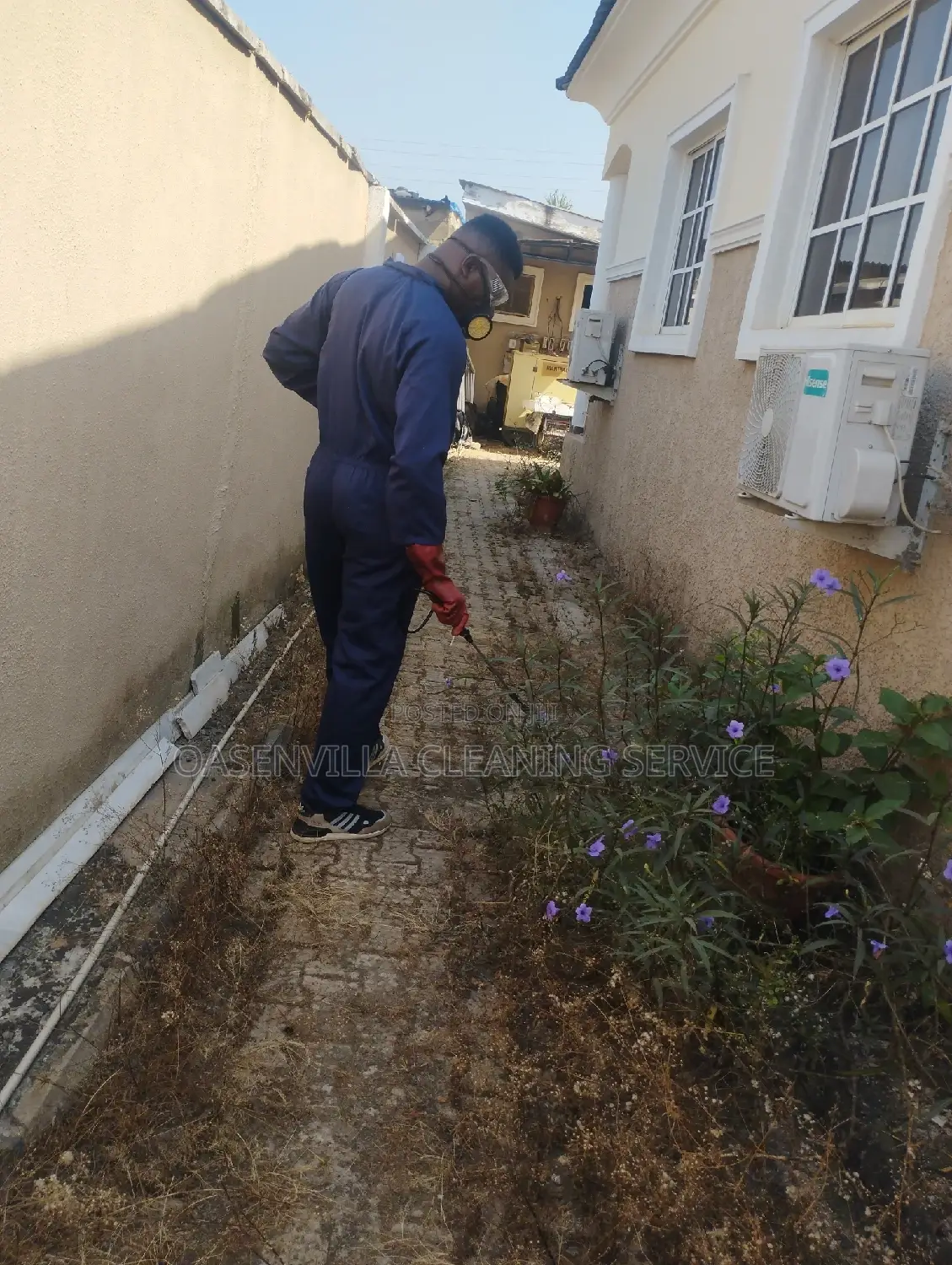 Pest Control