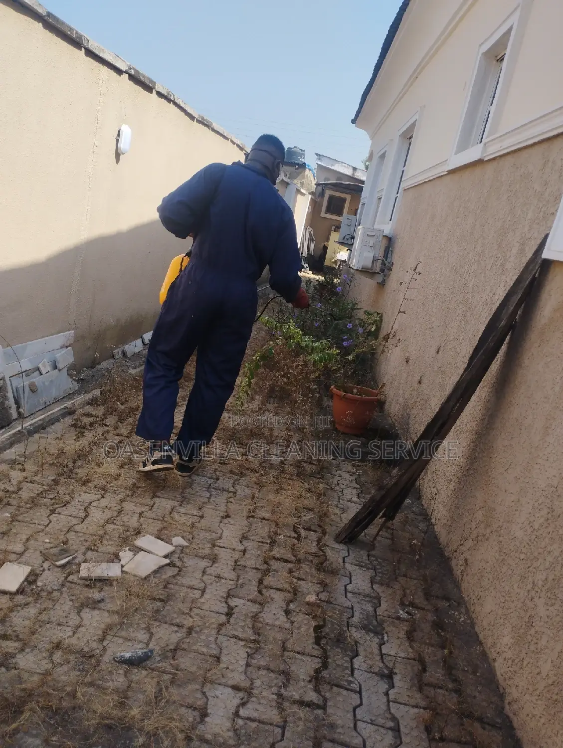 Pest Control
