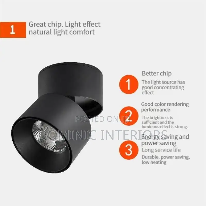 Adjustable Folding Light