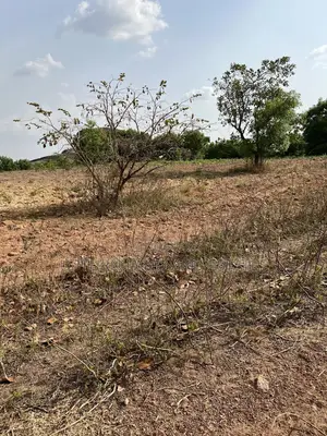 9000 Acres of Land for Sale in a Very Saved Neighborhood