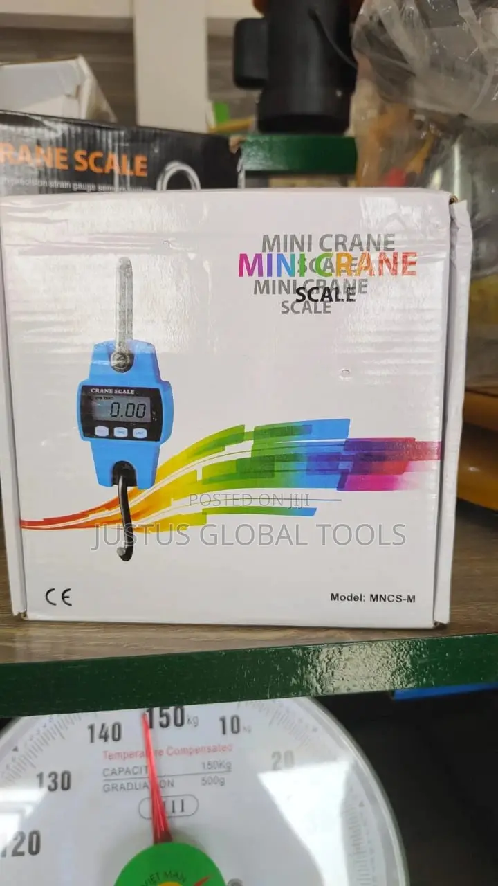 Mini Crane Scale 300kg