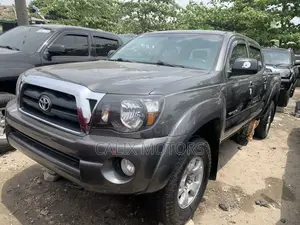 Toyota Tacoma 2010 Gray