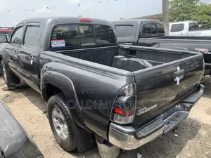 Toyota Tacoma 2010 Gray
