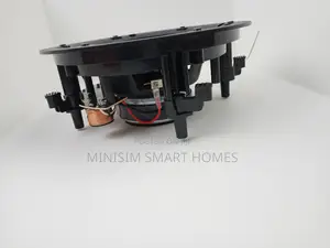 5.25 Inches 20w Ceiling Speaker